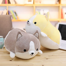 Load image into Gallery viewer, Cute Corgi Plushie
