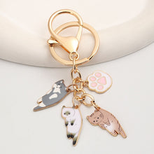 Load image into Gallery viewer, Cat Paw Keychain
