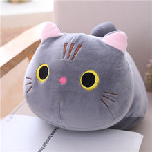 Load image into Gallery viewer, Soft Cat Plushie
