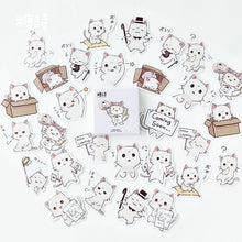 Load image into Gallery viewer, Kawaii Sticker Box Set
